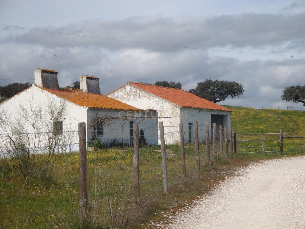 A HERDADE 145 hectares a 20min de Vila Viçosa (vila candidata a património  MUNDIAL da UNESCO), Alentejo - Image 10