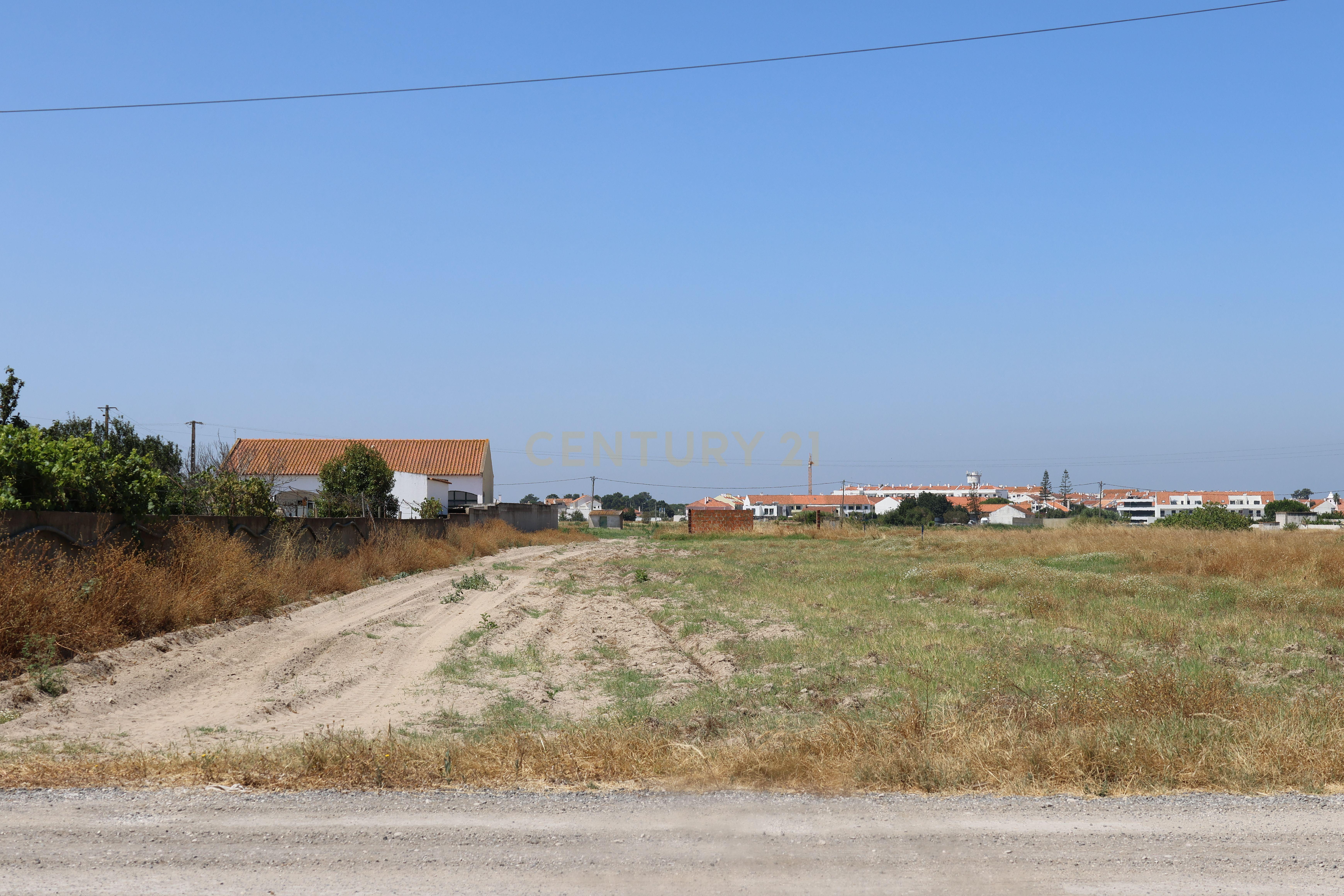 Fotografia 9 de Terreno 1.6 Ha Samouco - Alcochete