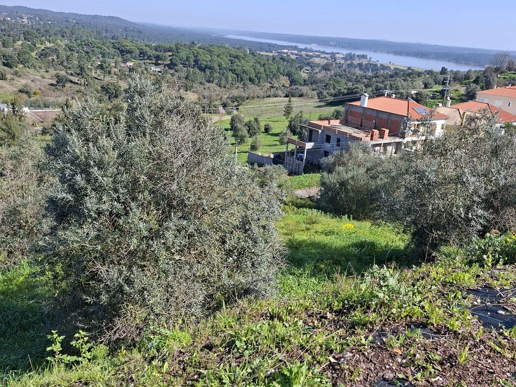 Oportunidade – Lote de Terreno em Montargil - Image 17