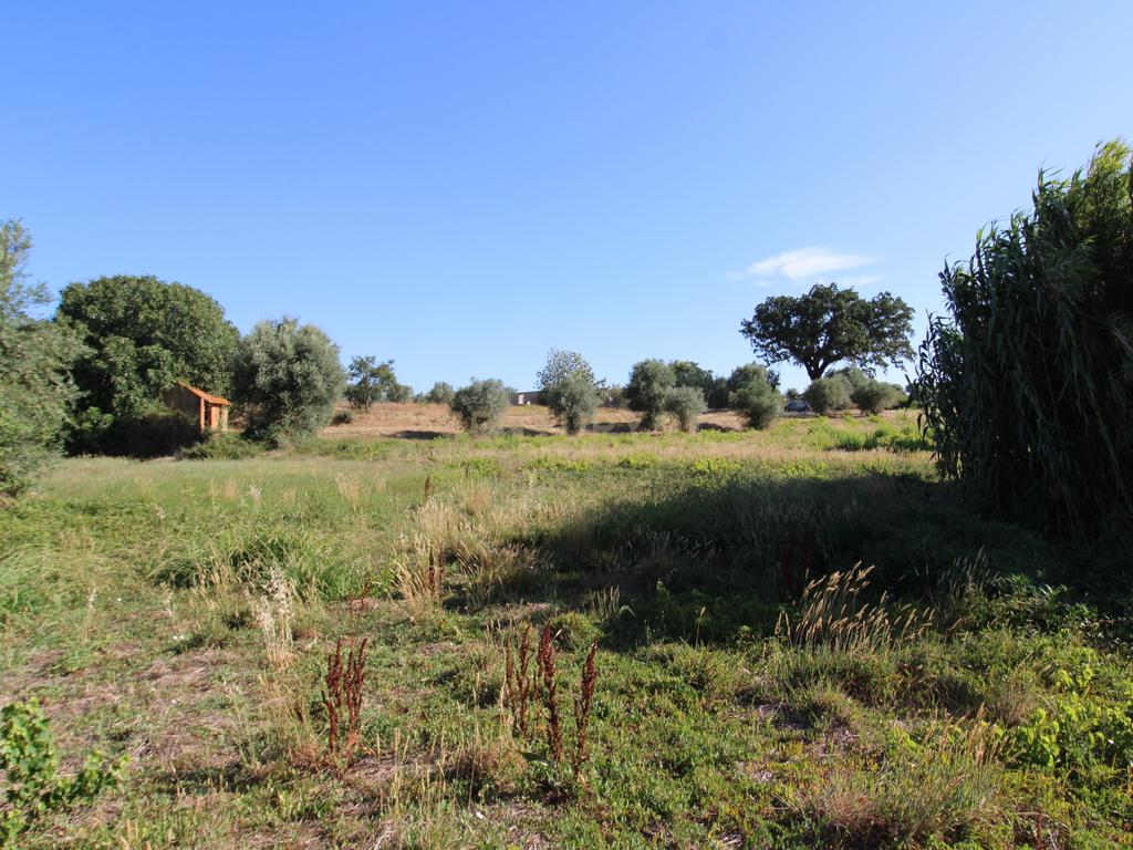 2 Terrenos Rústicos c/poço de água próximo da Cidade de Tomar - Image 6