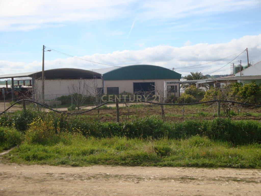 A HERDADE 145 hectares a 20min de Vila Viçosa (vila candidata a património  MUNDIAL da UNESCO), Alentejo - Image 15