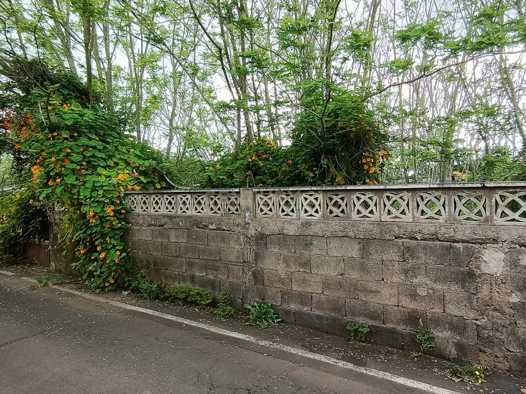 Terreno para construção em Guamasa - Image 4