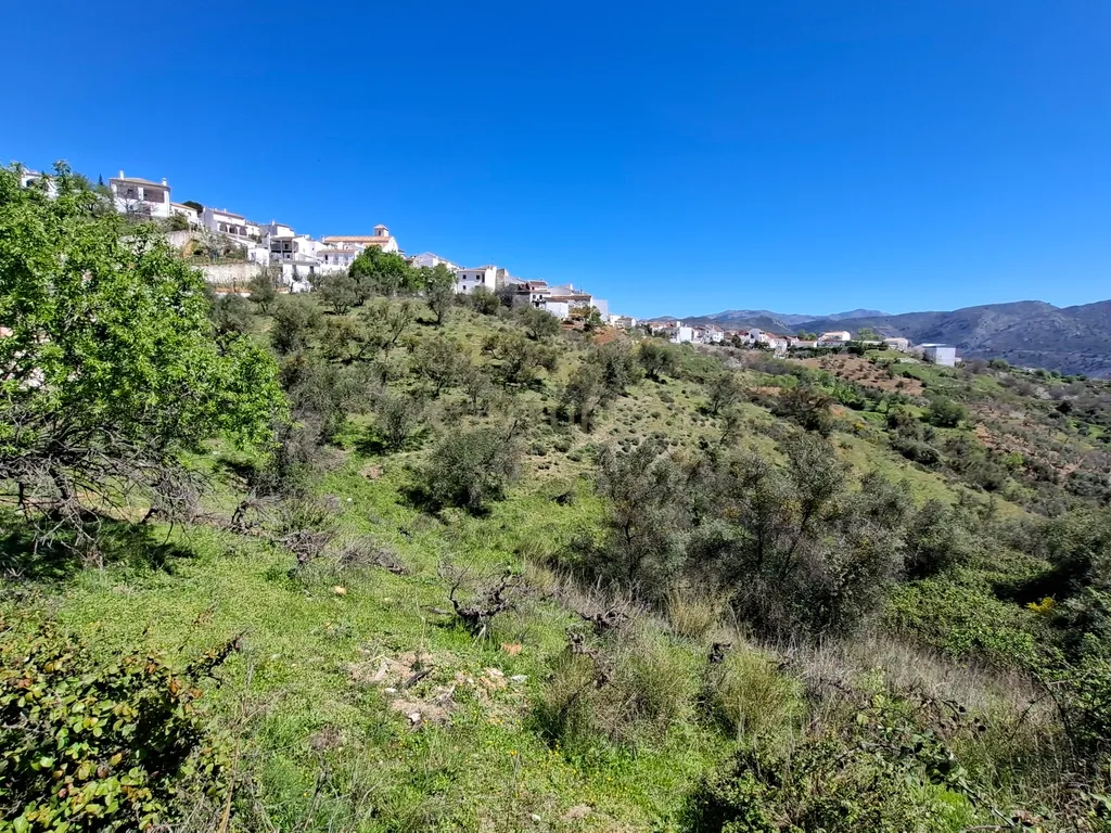 Moradia geminada de gaveto, com orientação sul, vistas para a montanha e duas propriedades rústicas com oliveiras, vinhas e castanheiros, no coração do Alto Genal. - Image 22