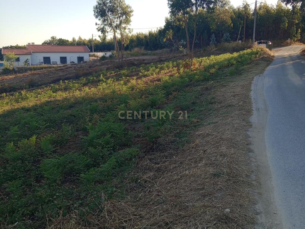 Terreno com projecto aprovado, no Cidral, em Rio Maior - Image 4