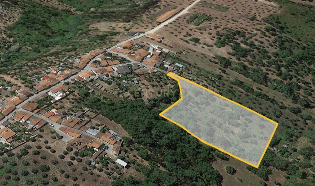 Terreno de 8280m² com cultura Arvense variada em Abrantes - Image 4