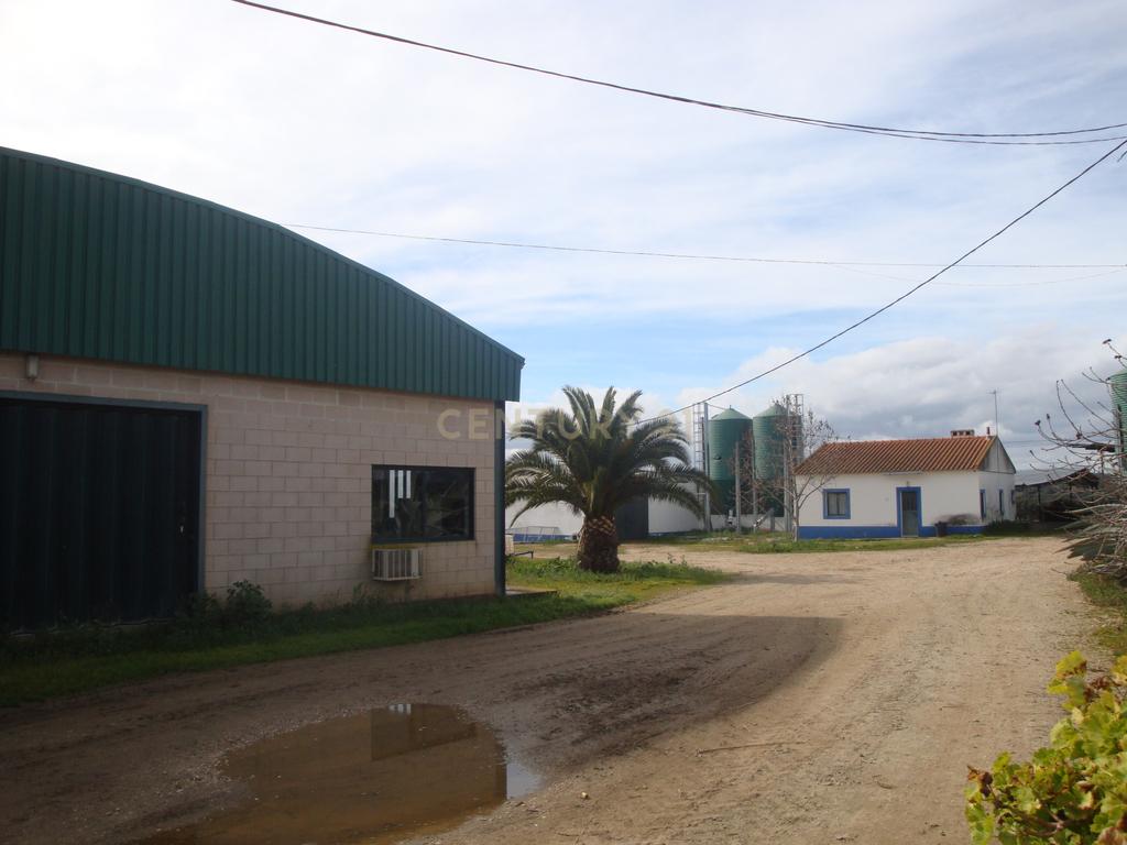 A HERDADE 145 hectares a 20min de Vila Viçosa (vila candidata a património  MUNDIAL da UNESCO), Alentejo - Image 17