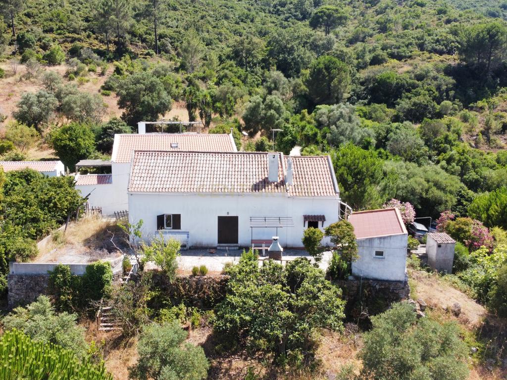Quinta de 3.500 m2 na Serra da Arrábida - Image 1