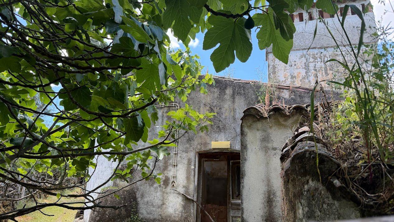 2 Moradias para recuperação - Flor da Rosa - Crato - Alentejo - View 2
