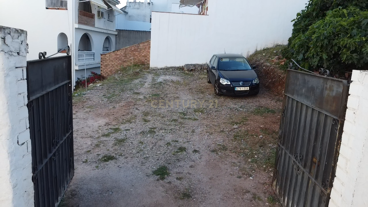  - Image 7