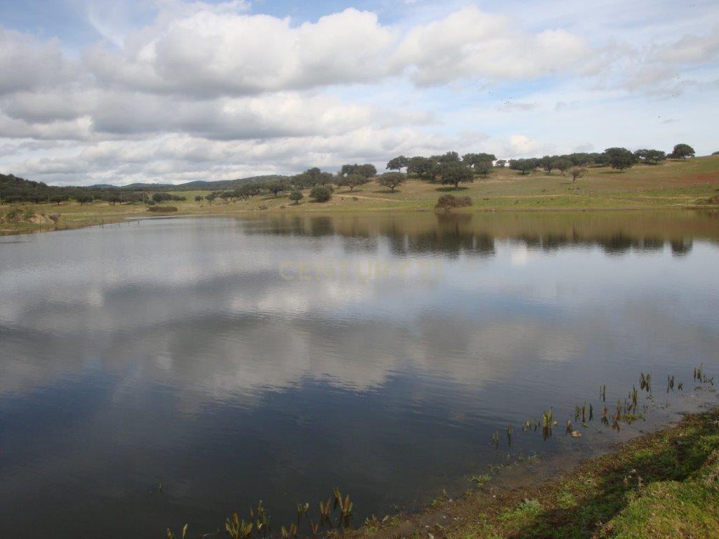 A HERDADE 145 hectares a 20min de Vila Viçosa (vila candidata a património  MUNDIAL da UNESCO), Alentejo - Image 2