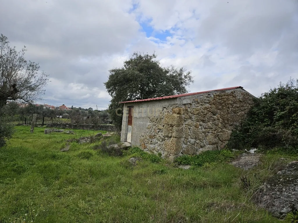 Quintinha na Lousa, Castelo Branco - Image 15