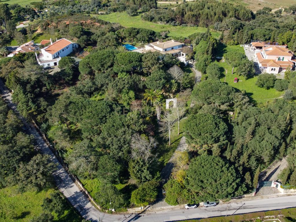 🏡 Terreno para Construção – 2.746 m² | Oportunidade Única Perto de Setúbal! 🌿 - Image 30