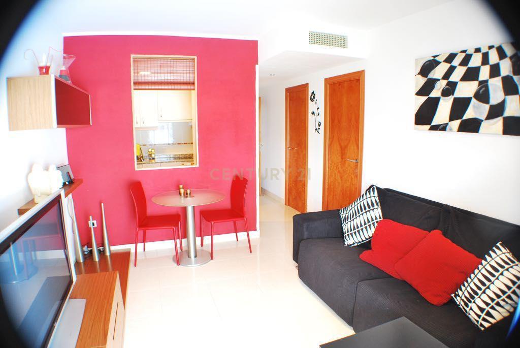  - Image 7