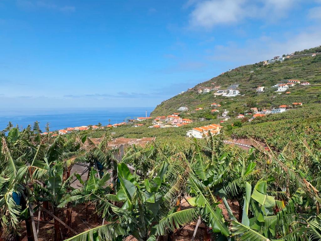 Terreno para construção 1946m2 - Arco da Calheta - Image 32