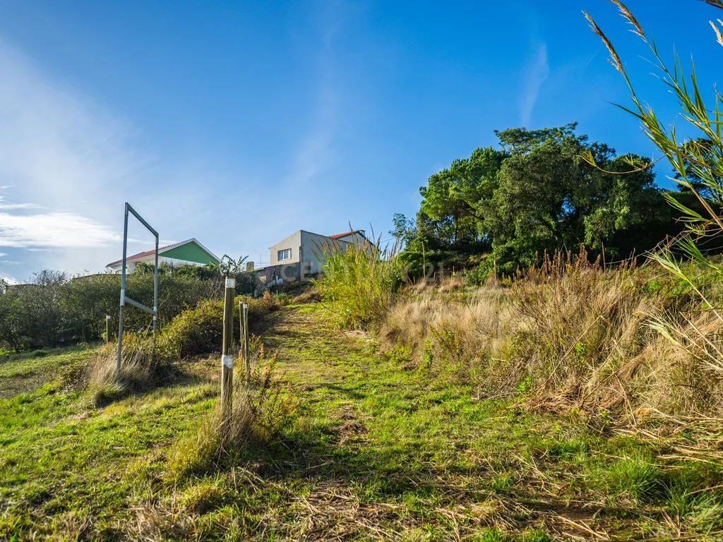 Terreno na Nazaré - Image 11