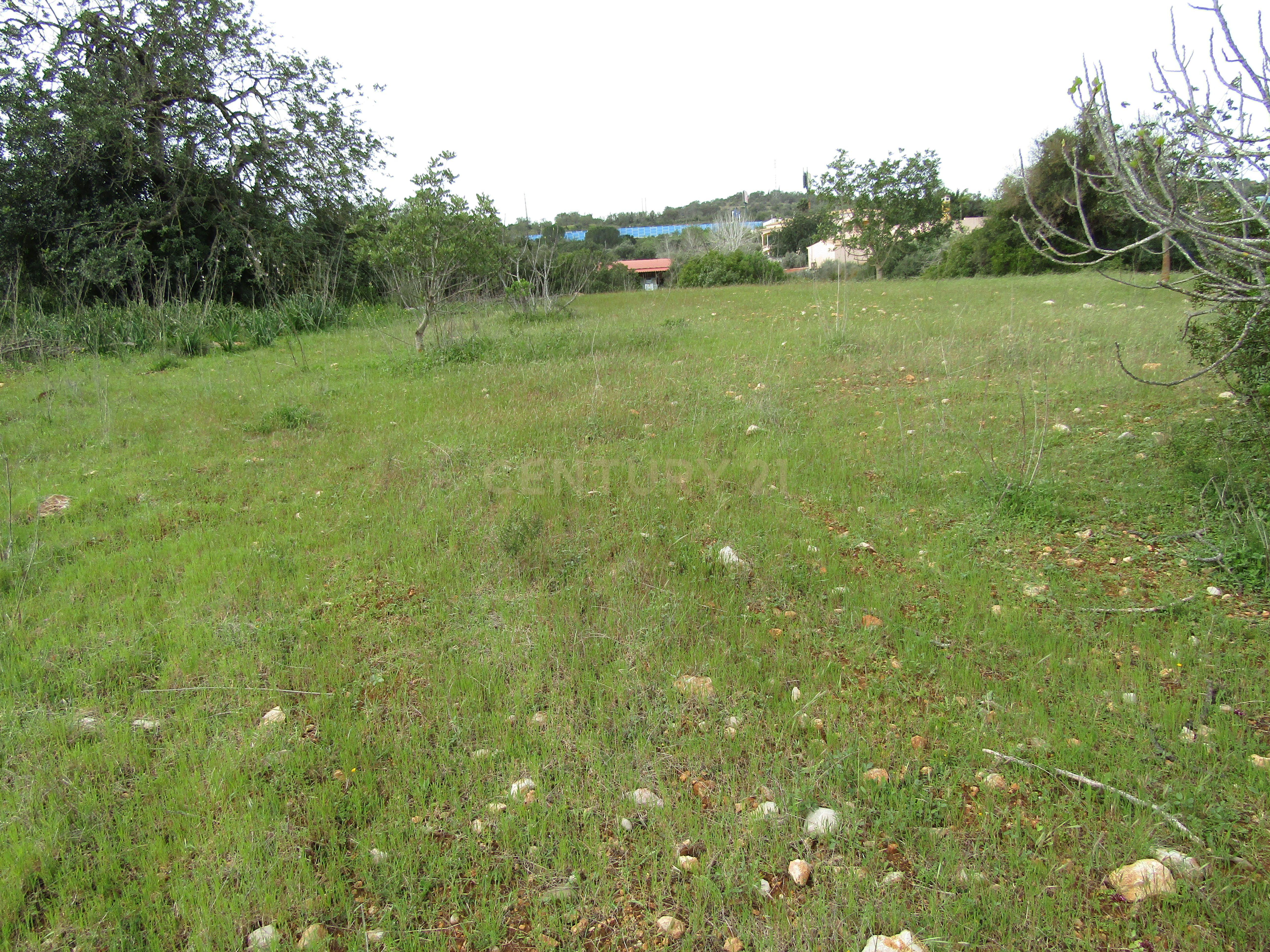 Terreno Rustico em Paderne  - Image 8