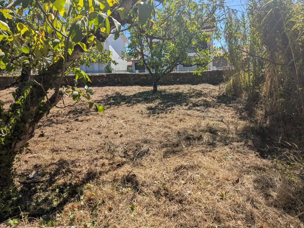 Terreno Viabilidade Construção em Espinhal, Penela – Excelente Oportunidade de Investimento - Image 11