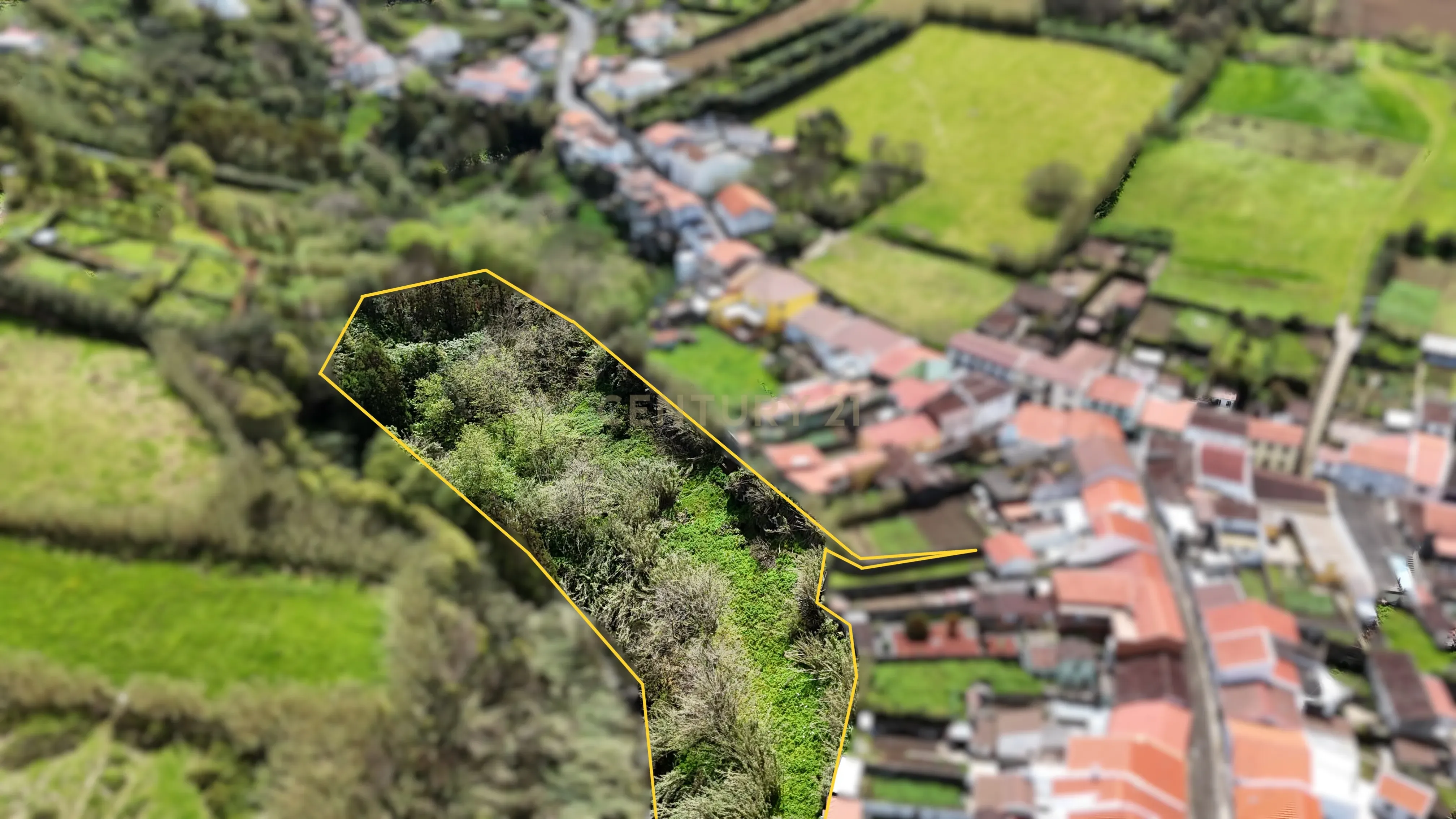 Fotografia 5 de Terreno rústico com 4.480 m² - em Porto Formoso