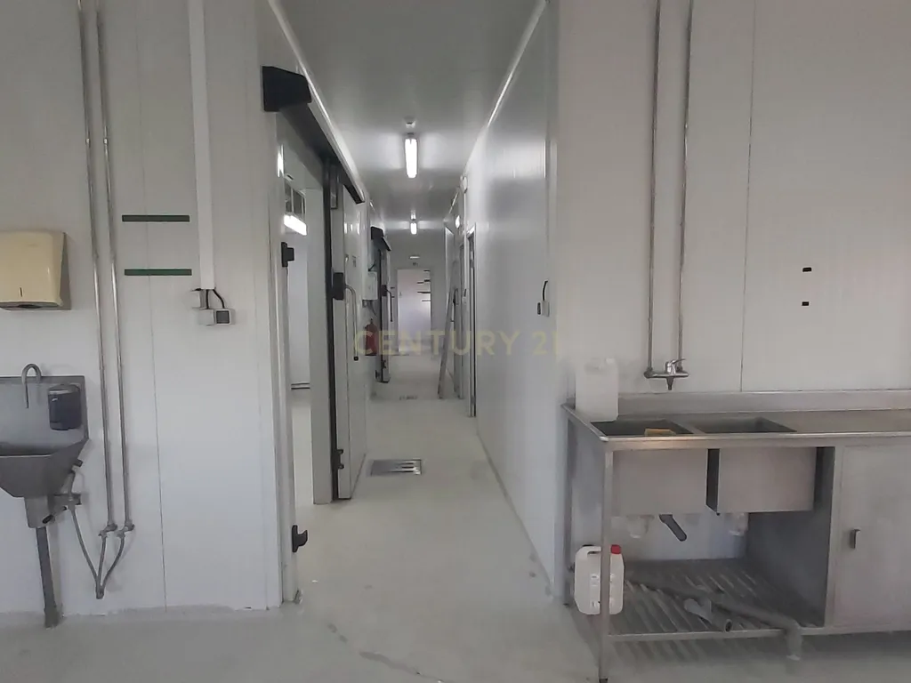 🚀 Expanda o Seu Negócio com Este Pavilhão Pronto a Produzir** Beja, Serpa  - Image 17