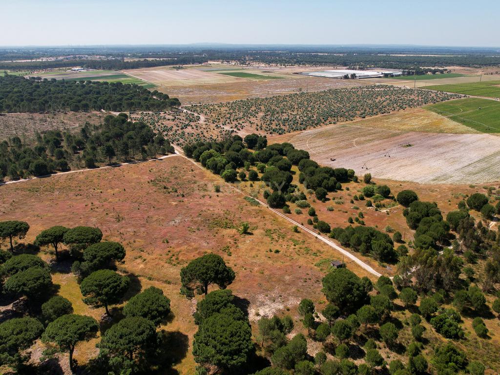 Terreno Rústico c/ 22.500m2 - Sto Isidro de Pegões - Montijo - Image 6