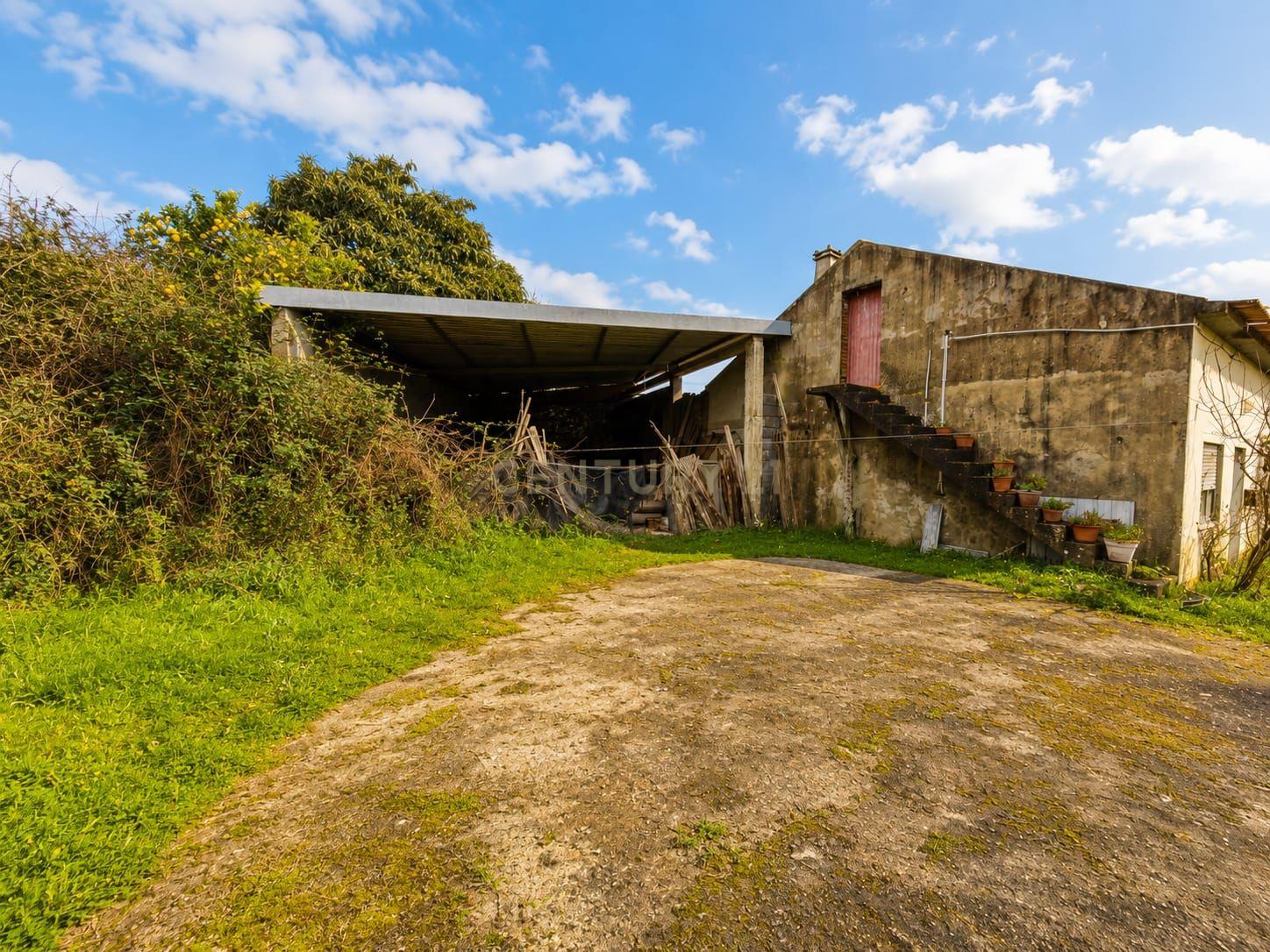Fotografia 12 de Moradia T2 Térrea com Potencial para T3 | Terreno com Cerca de 1.000 m² | Próxima do Centro do Louriçal