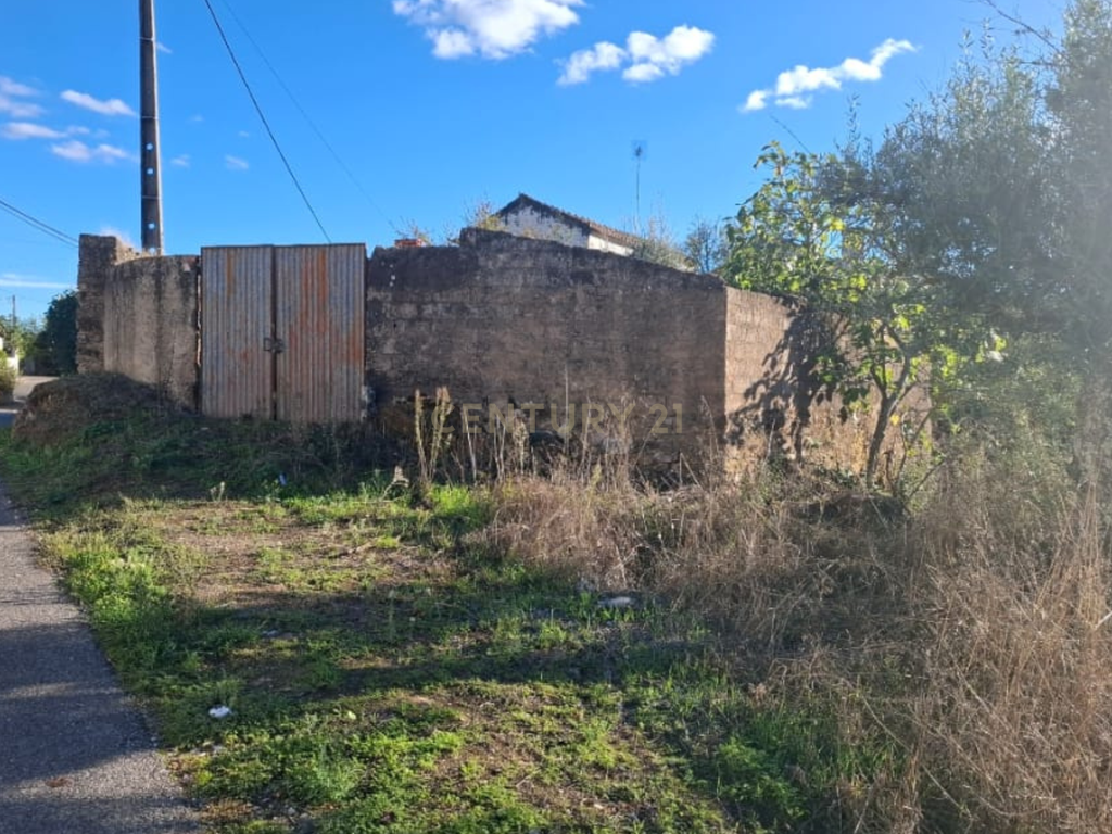 Casa para Recuperação em Alcaravela, Sardoal - Image 5