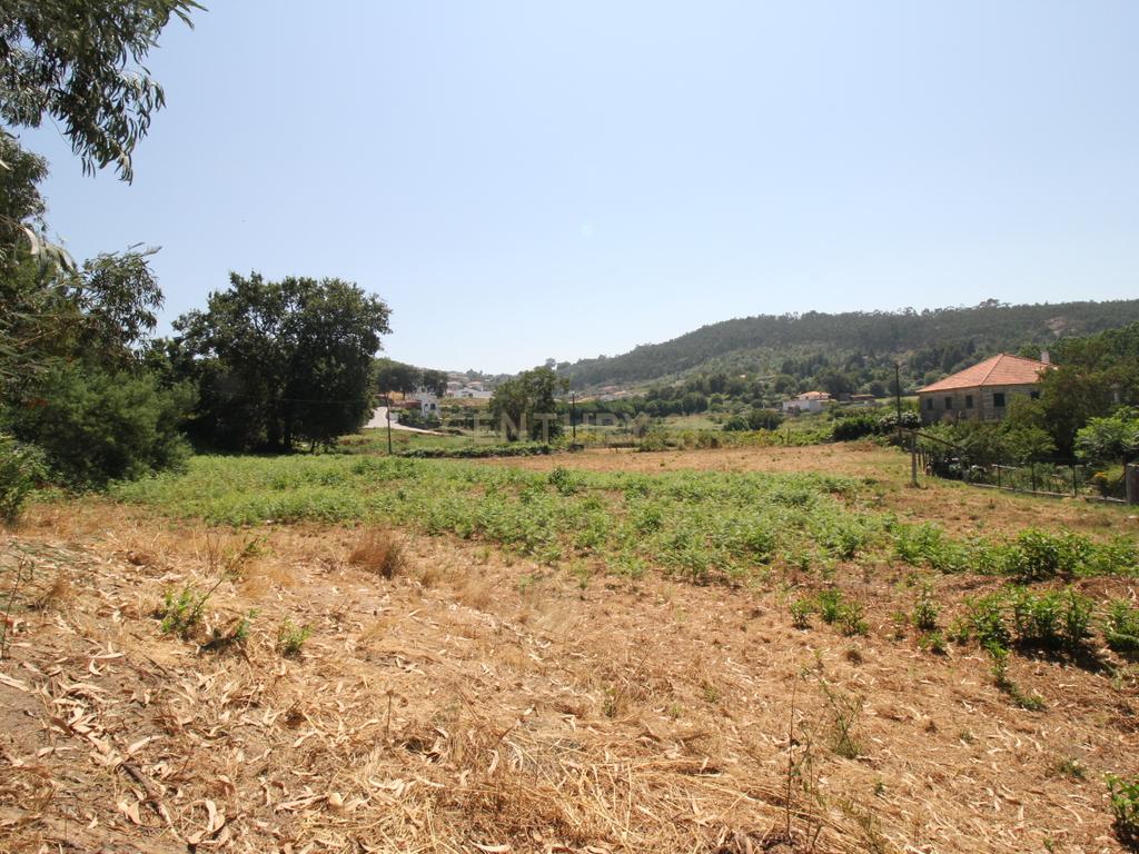 Terreno em Galegos - Penafiel - Image 4