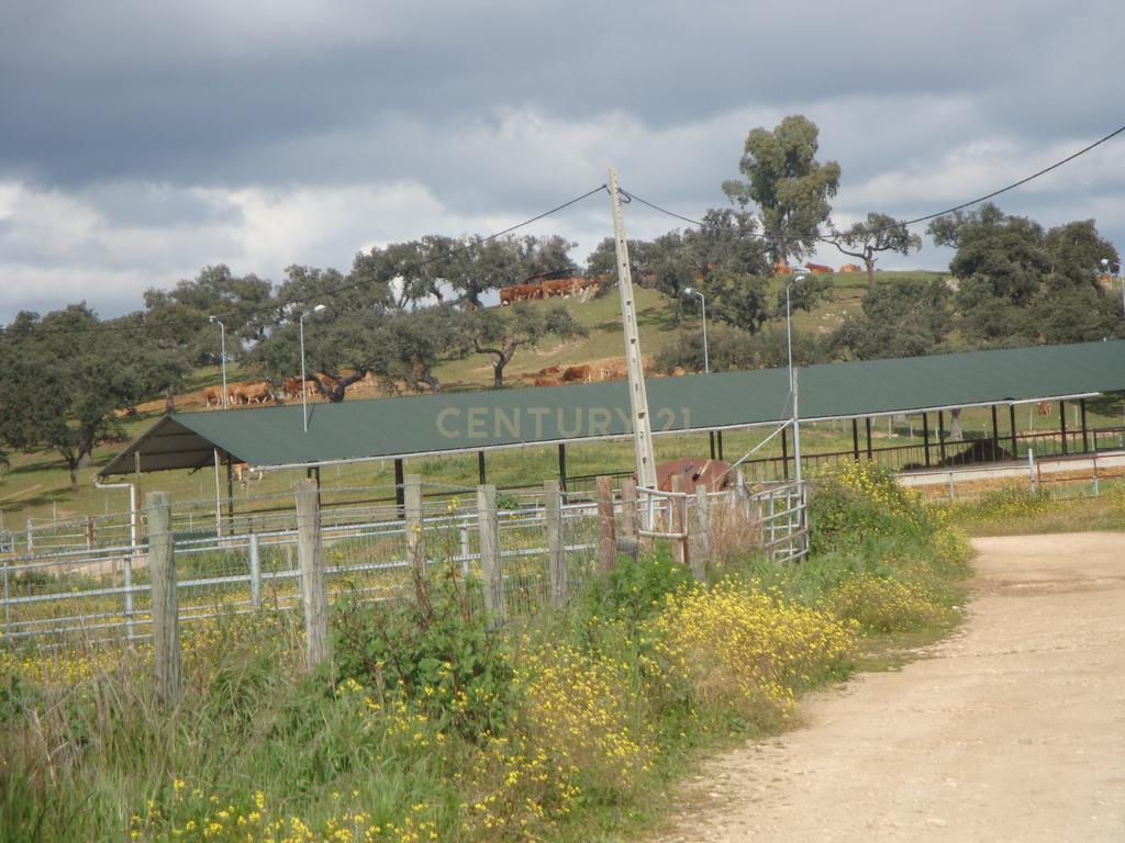 A HERDADE 145 hectares a 20min de Vila Viçosa (vila candidata a património  MUNDIAL da UNESCO), Alentejo - Image 24
