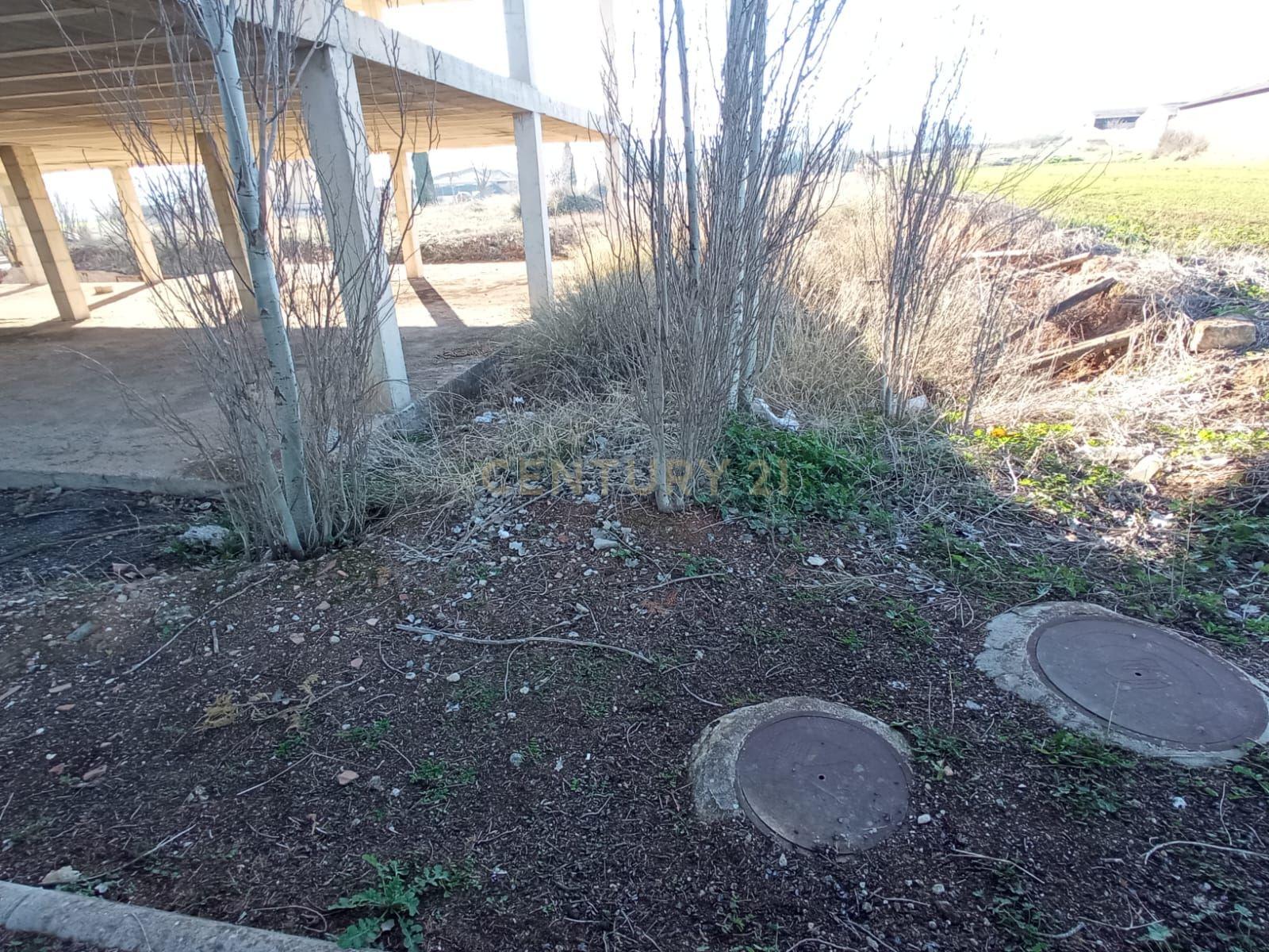 undefined - Image 13