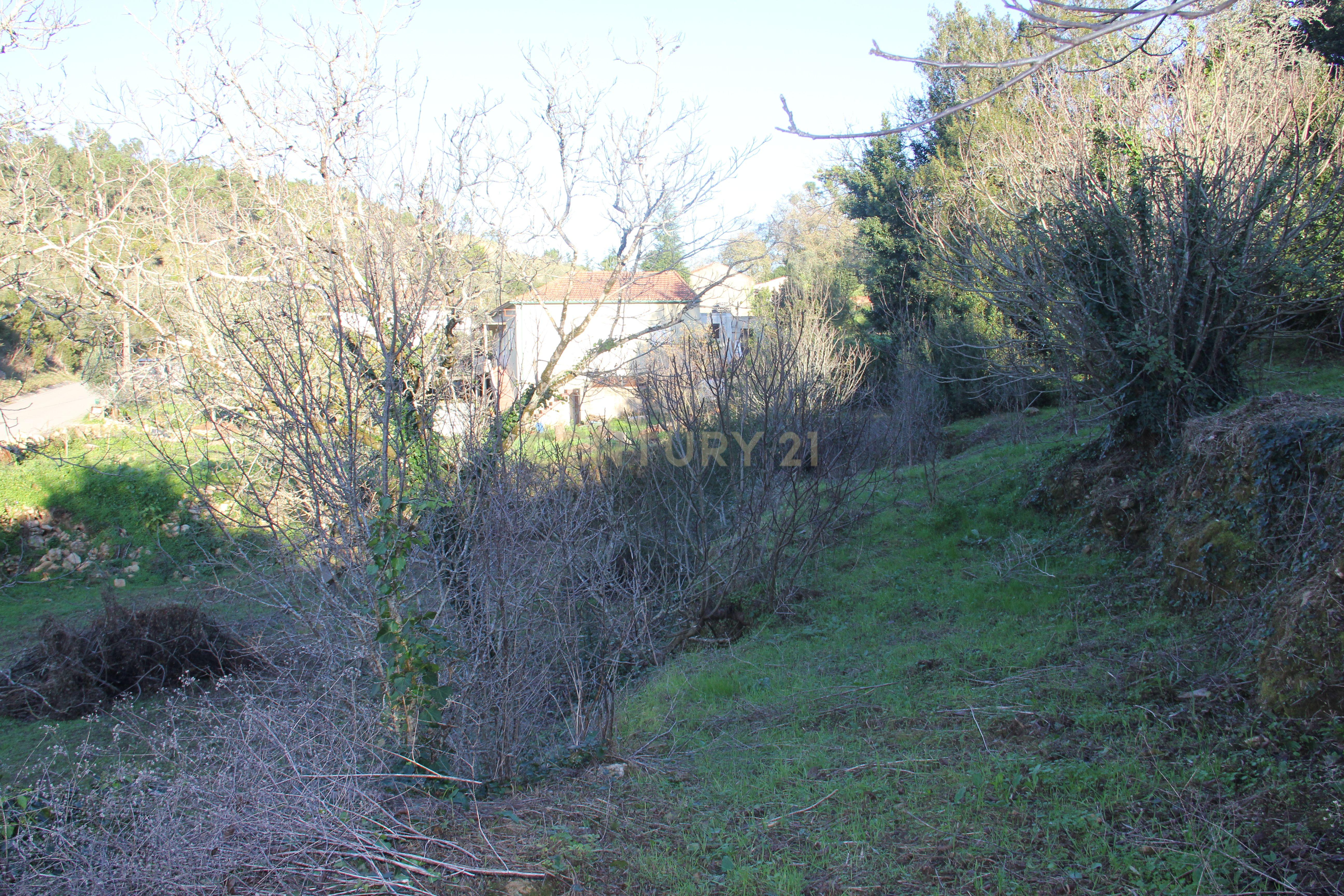 Fantástico terreno para moradia - Image 22