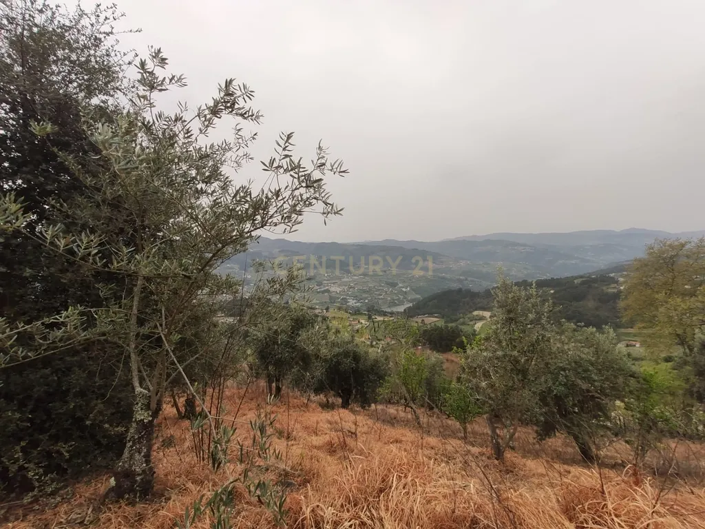 Terreno com casinha e vista para o rio Douro, em S. Tomé de Covelas, Baião para projeto agrícola - Image 66
