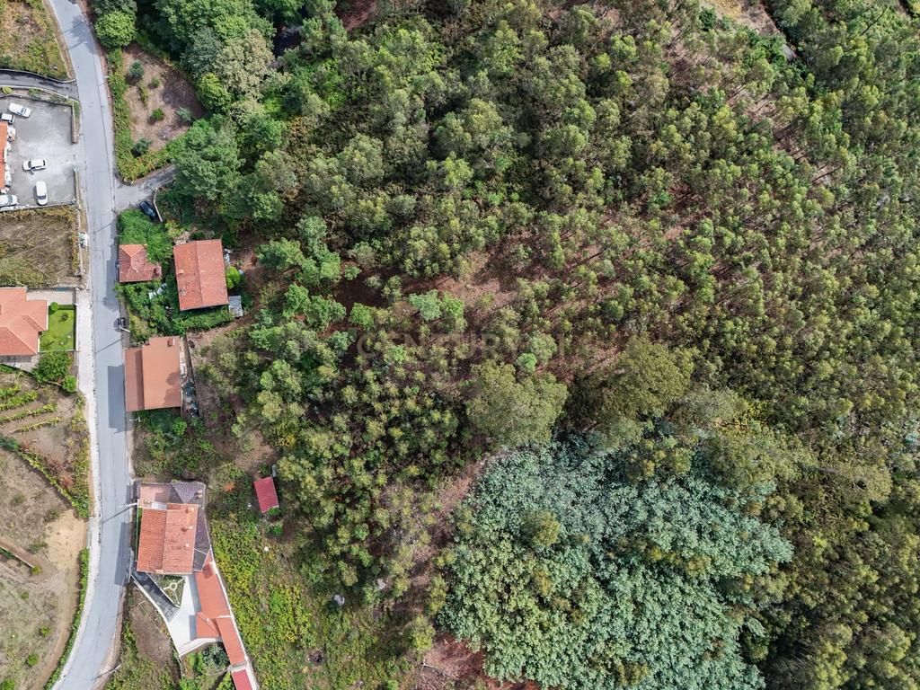 Venda de Terreno Rústico – Excelente Potencial para Projeto Fotovoltaico - Image 2