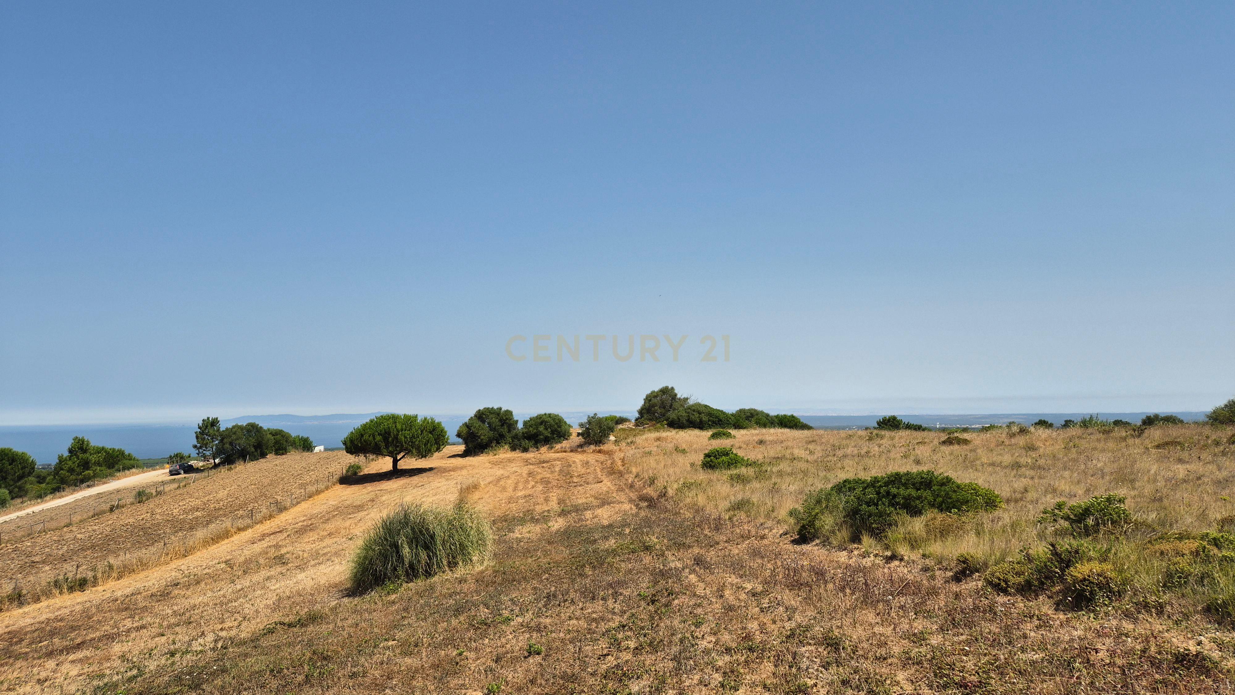 Fotografia 5 de Terreno com Vista Mar e Lisboa na Azoia (15.700 m²) | PIP Aprovado para Moradia + Cave