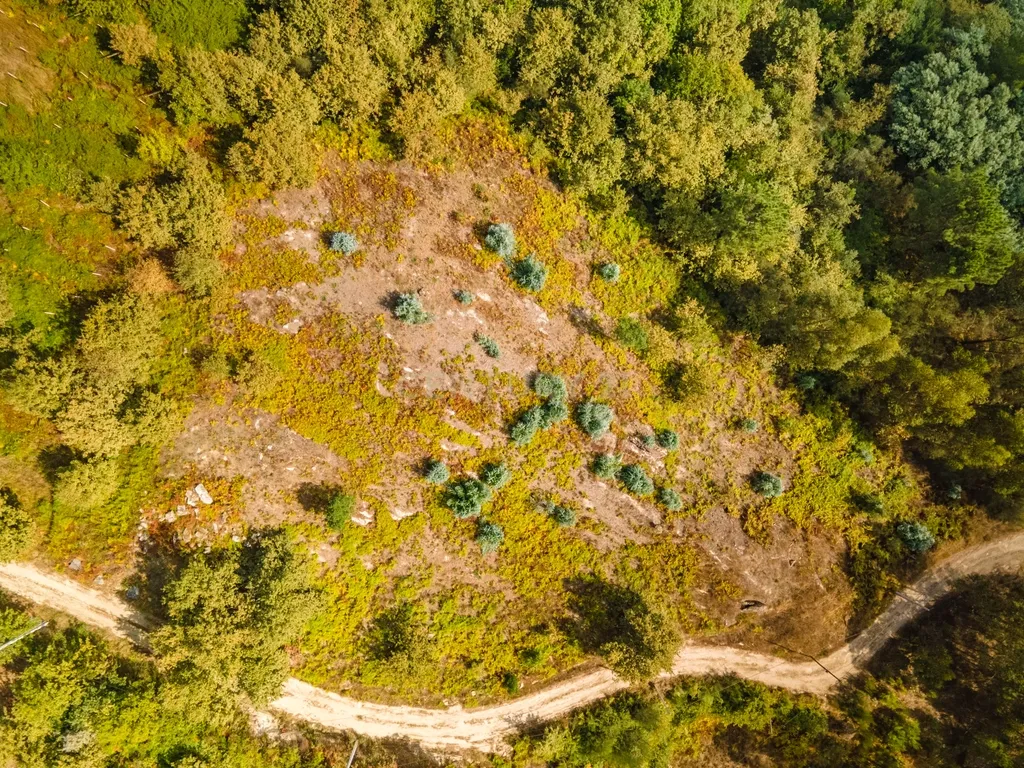 Terreno com vista Rio em Paços de Gaiolo, Marco de Canaveses - Image 6