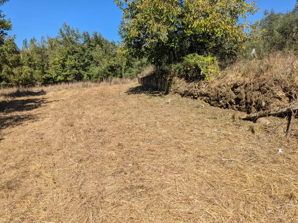 Terreno Viabilidade Construção em Espinhal, Penela – Excelente Oportunidade de Investimento - Image 20