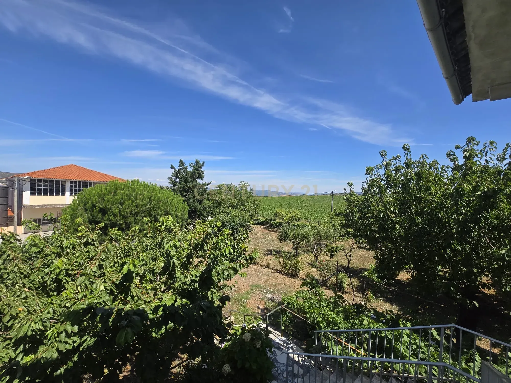 Fotografia 5 de Quinta Típica em São João da Pesqueira com Vista Panorâmica