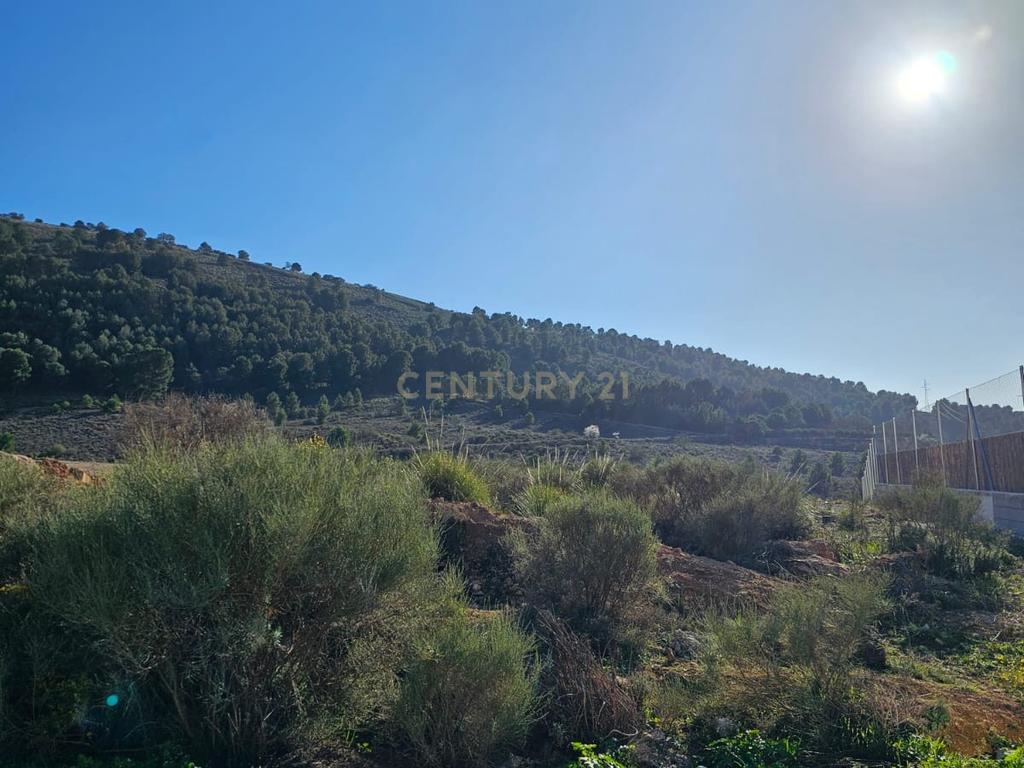 undefined - Image 18