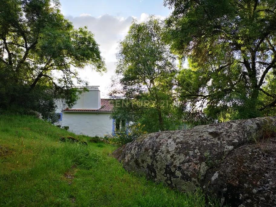 Quinta Típica Alentejana, Licença de Turismo Rural, Arrendamento, Arraiolos - Image 57