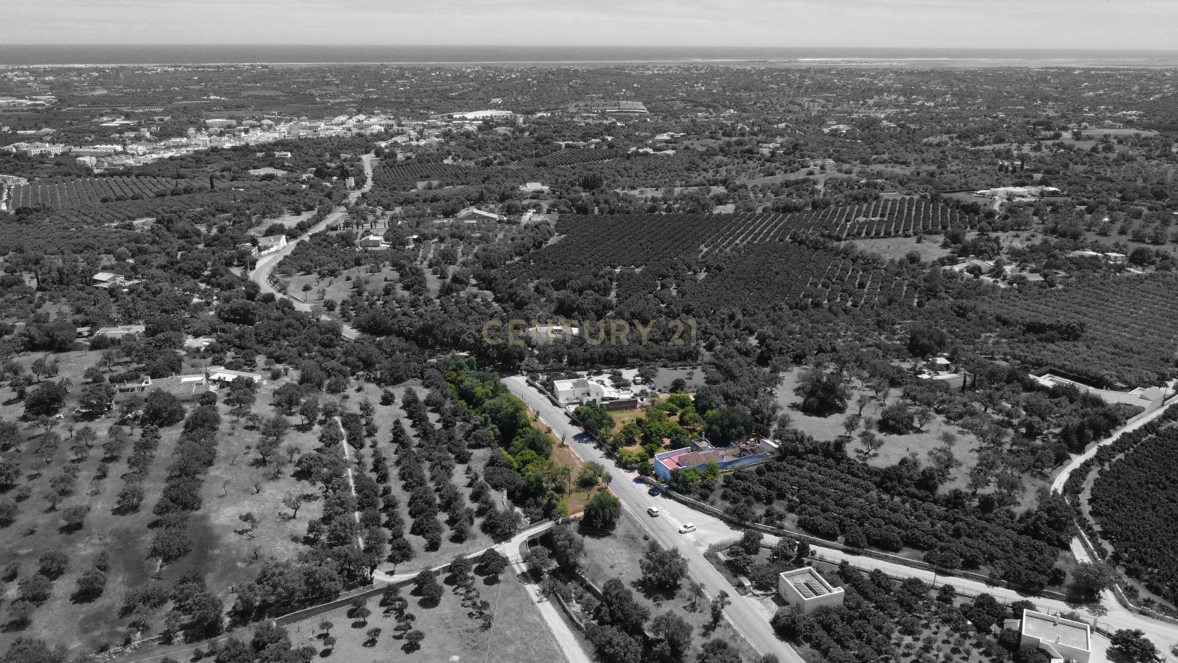 Fotografia 3 de Moradia térrea com terreno de 2.280 m² em Moncarapacho com excelente potencial de renovação