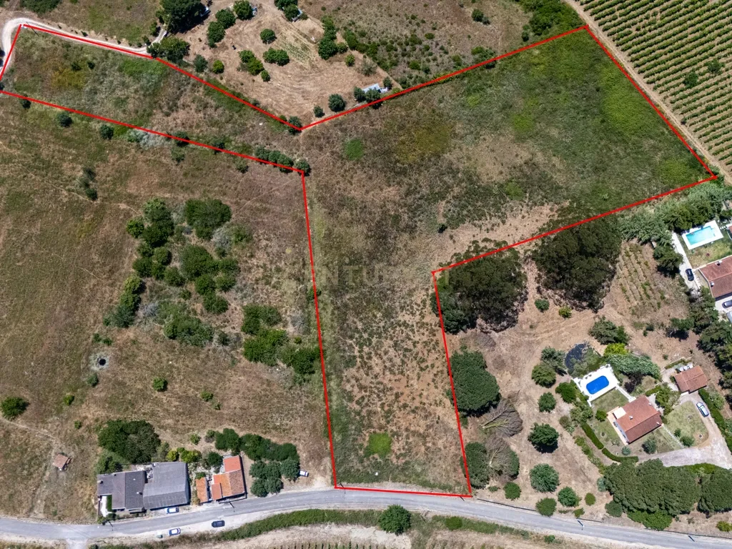 Oportunidade Única de Investimento em Terreno com Potencial Agrícola e Urbanizável – Canhestro 14.960 m². - Image 5