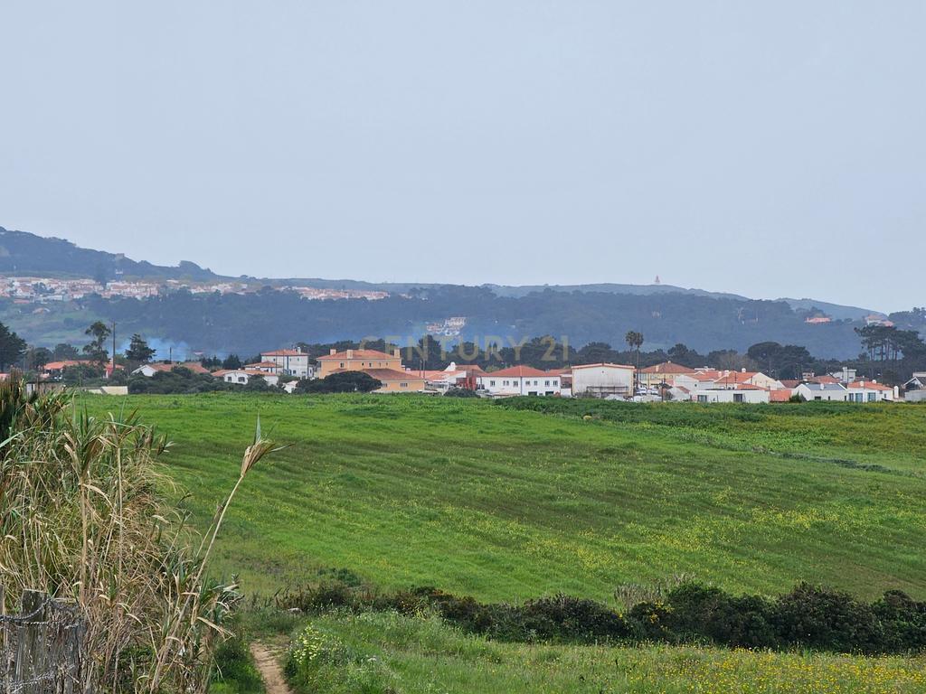 Terreno Rústico | 14160m2 | Sintra | Fontanelas | Av. Nossa Senhora da Esperança - Image 11
