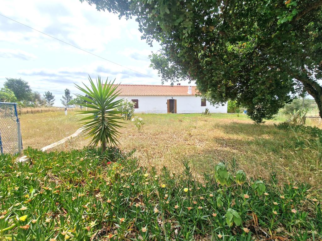 Monte/Terreno em Santiago do Cacém, com Vista Campestre e Árvores Frutíferas - Image 34