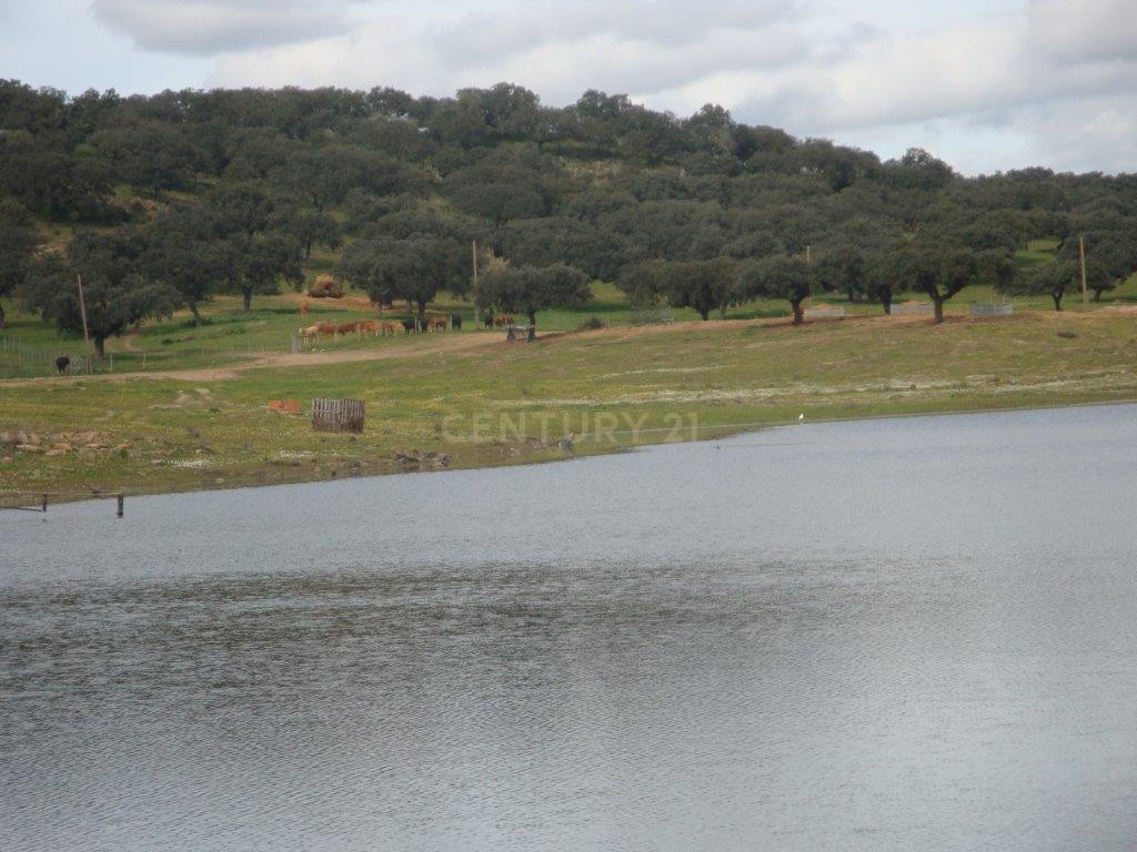 A HERDADE 145 hectares a 20min de Vila Viçosa (vila candidata a património  MUNDIAL da UNESCO), Alentejo - Image 3