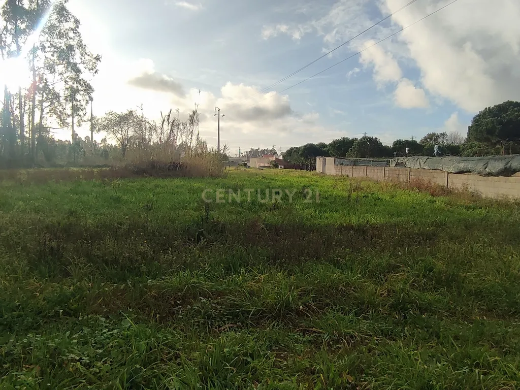 Terreno para construção na Moita, Marinha Grande - Image 1
