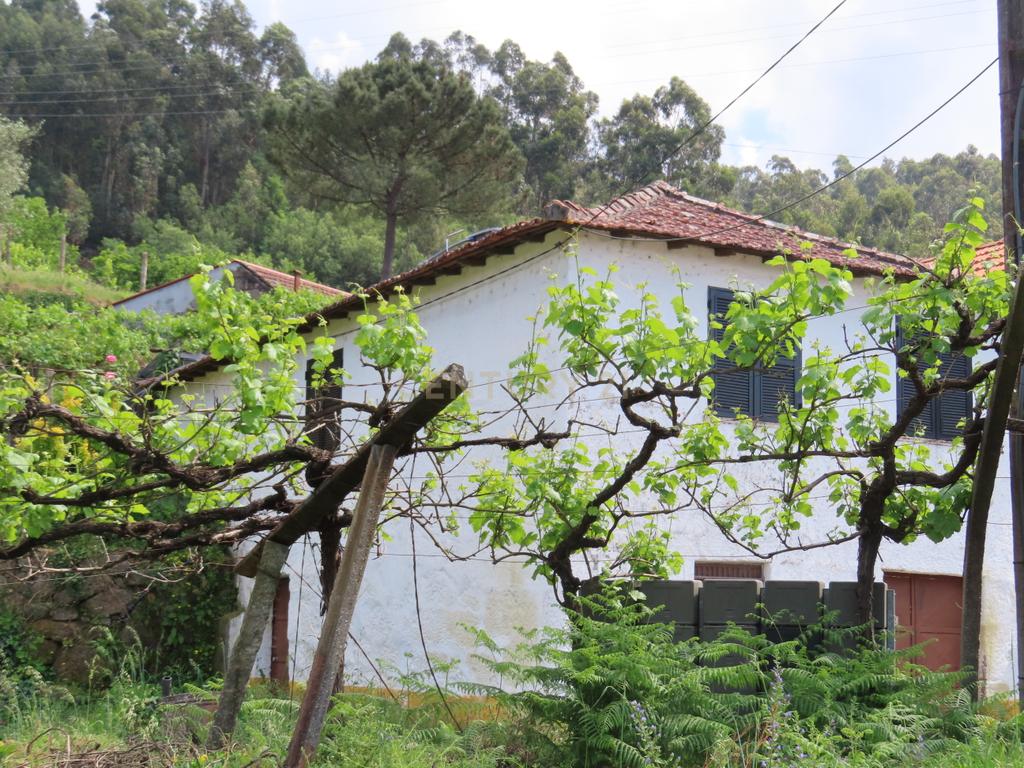 Moradia T2 em Travanca, Cinfães – Ideal para Habitação ou Férias - Image 8