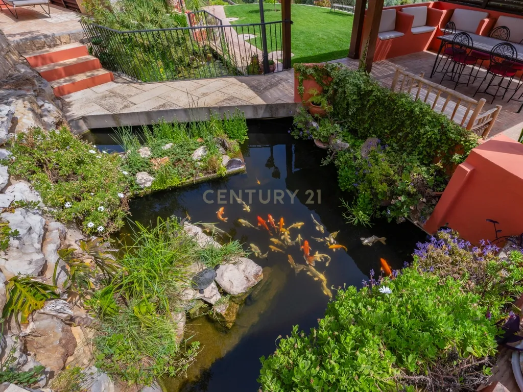 Propriedade com três habitações, piscina aquecida e sauna, num terreno de 10.000 m² - Image 128