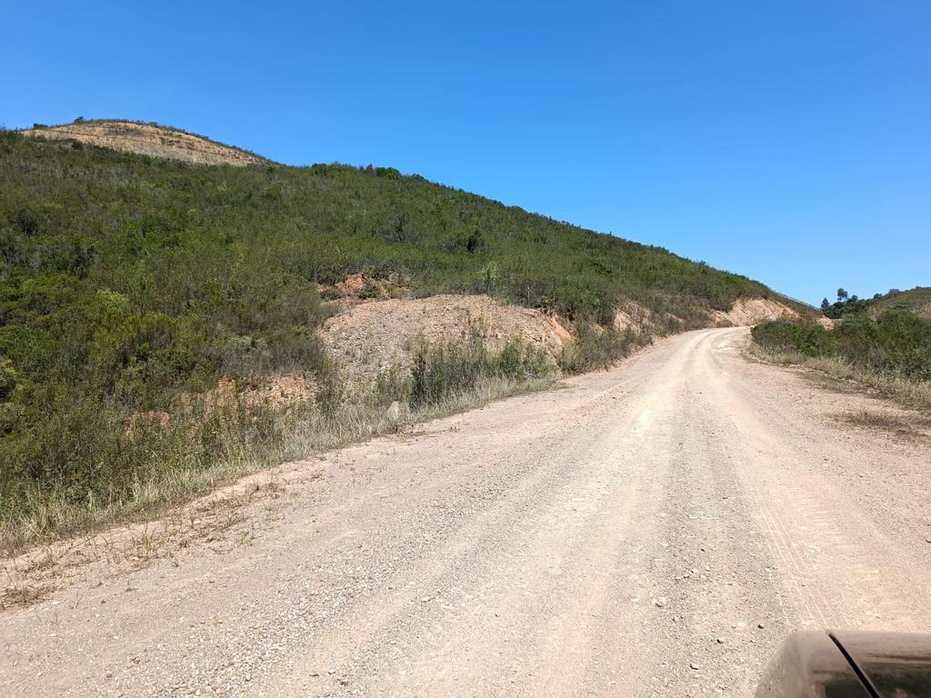 Terreno rústico de 112.000m2 em Ladeiras - S. Bartolomeu de Messines  - Silves - Image 2