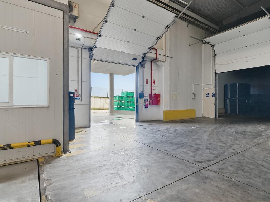 Armazém Industrial junto à Campo Oeste em A-dos-Cunhados - Image 31