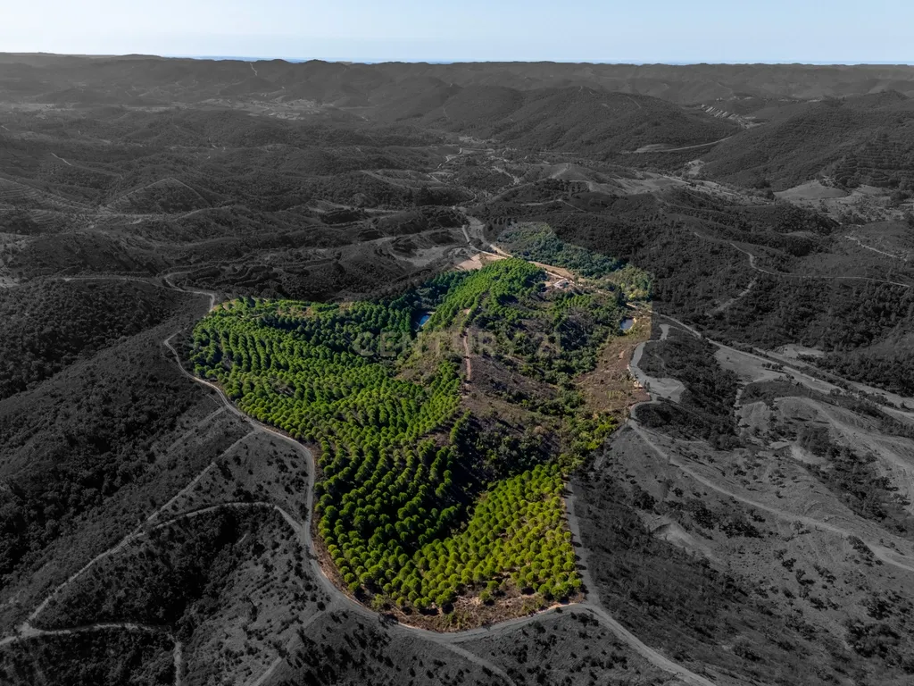 Monte com duas moradias e cerca de 20 hectares em São Marcos da Serra - Image 2