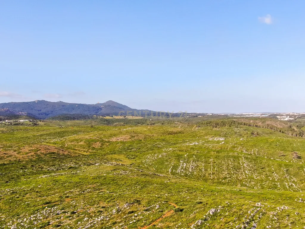 Moradia Geminada T3 com Jardim Privativo e Vista para o Parque Natural – Murches - Image 34